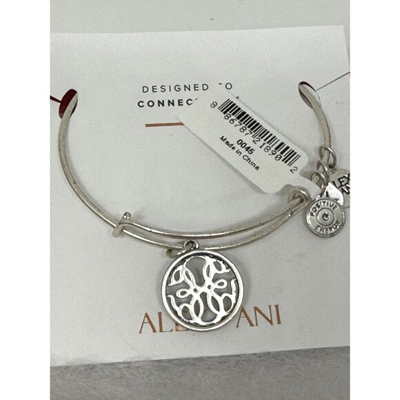 Alex and Ani Path of Life Charm Bangle Bracelet Silver Tone Positive Energy READ - Picture 8 of 8